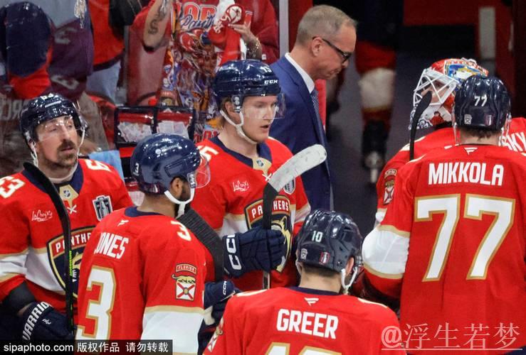 总决赛G4：埃德蒙顿油人惊险5-4逆转佛罗里达美洲豹 精彩集锦